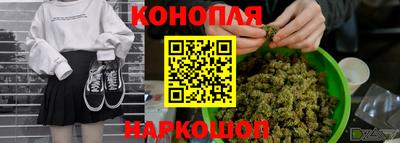 шишки Изобильный